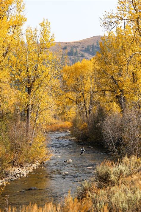 Big Wood River In Autumn In Sun Valley Idaho Stock Image Image Of