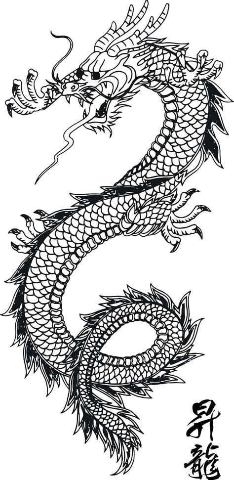 Best dragon face printables can not only be used and reused to create all kinds of face masks and wall décor assets whether you wish to replicate the décor of your favourite chinese restaurant from the. http://colouringbook.org/SVG/intelligentsia/COLOURINGBOOK.ORG/Chinese_New_Year/dr… | Dragon ...