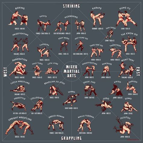Infographic Chicago Artist Releases Illustrated Style Guide To Mma