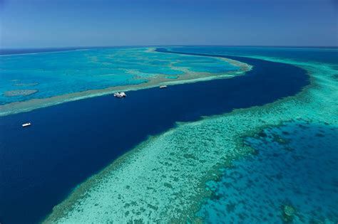 The Amazing World The Great Barrier Reef Islands World