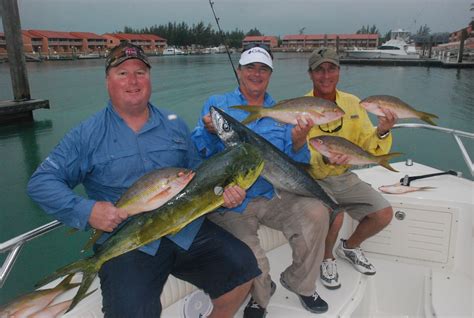 Bimini Fishing Extravaganza A Great Way To Enjoy The Bahamas Sun Sentinel