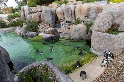 20 Best Zoos In The World
