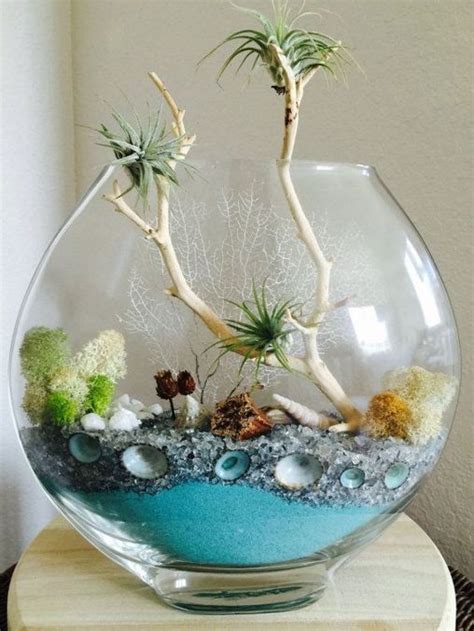 Cacti cactus & succulent plants. Air Plant Terrarium Kit And Stained Glass Inspiration (25 ...