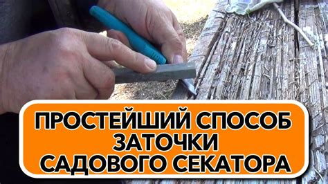 ПРОСТЕЙШИЙ СПОСОБ ЗАТОЧКИ САДОВОГО СЕКАТОРА - YouTube