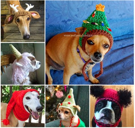 Ideas And Products Crochet And Knitted Dog Hats