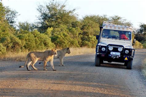 Mpumalanga And Kruger National Park Photo Gallery Fodors Travel