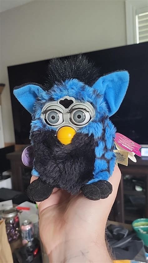 Got My First Two Furbies In The Mail This Week Sherbet And Blue Turtle