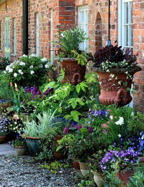 17 Best Images About Container Gardening Ideas On