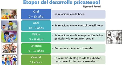 Search Results For Las Etapas Del Desarrollo Psicosexual Mind Map