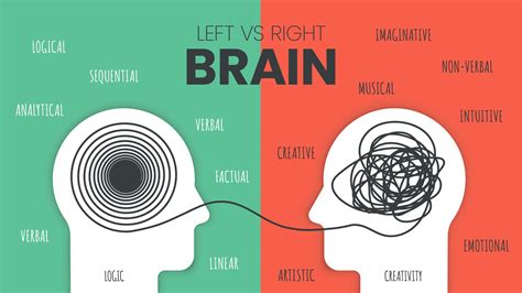Left Brain Vs Right Brain Dominance Infographic Template How The