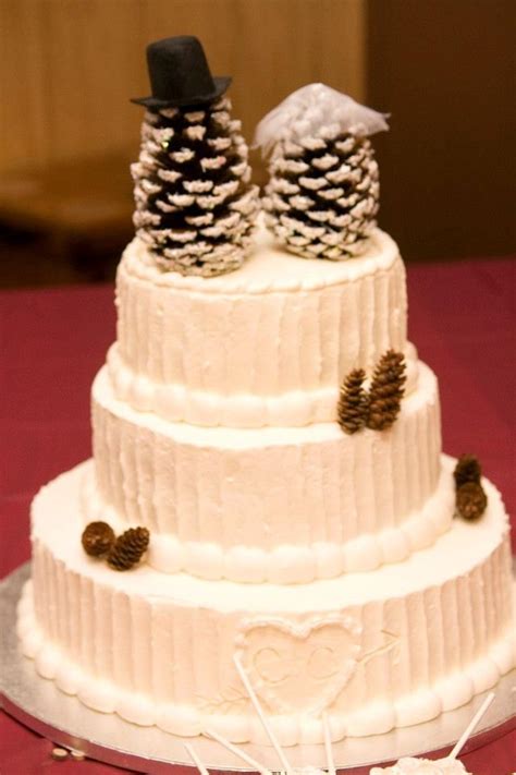 Winter Wedding Cake Pinecones Winter Wedding Cake Wedding Themes