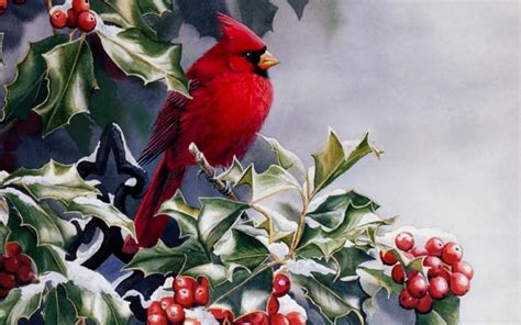 48 Widescreen Winter Bird Wallpaper Wallpapersafari