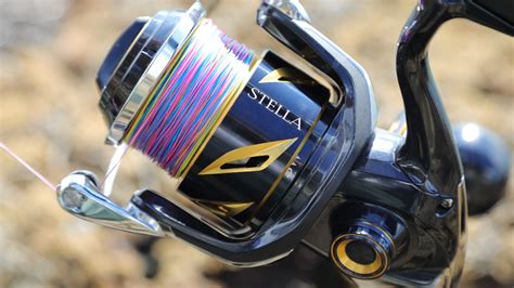 2020 Shimano Stella Sw Reel Review Ocean Blue Fishing