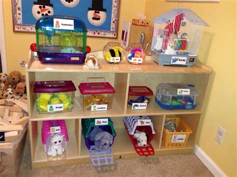 Preschool Pet Shop Home Corner Ideas Pinterest Pet Shop Role