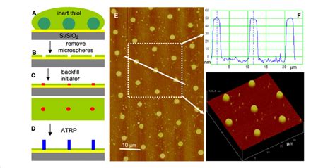 Schematic Illustration And AFM Images Showing Use Of Colloidal Download Scientific Diagram