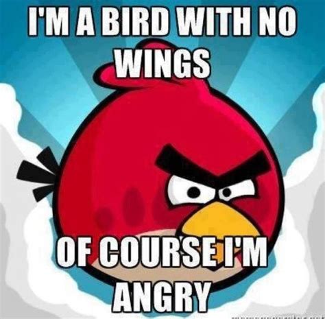 Angry Birds Meme Stacey Huger