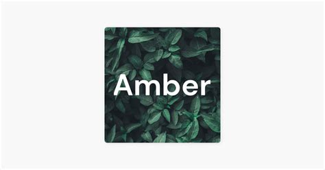 ‎apple Podcasts －《amber》