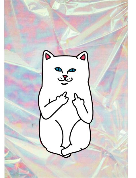 We did not find results for: Pin di Ripndip