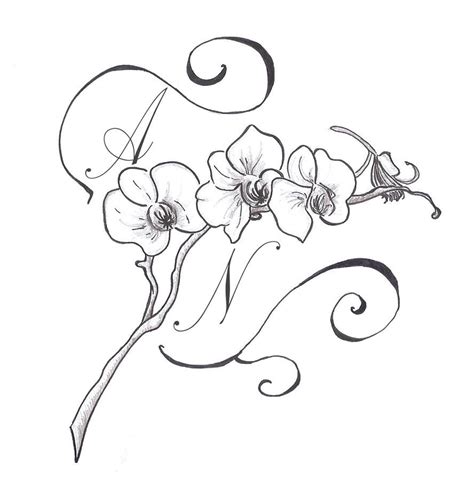 Gousicteco Orchid Line Art Images