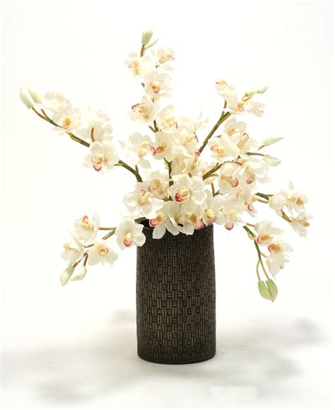 White Cymbidium Orchids In Porcelain Textured Vase Sku 7711 Cymbidium Orchids Buy Lights