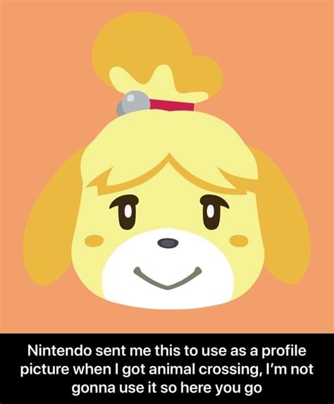 Nintendo Sent Me This To Use As A Profile Picture When I Got Animal