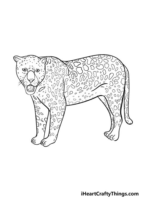 Jaguar Drawing How To Draw A Jaguar Step By Step