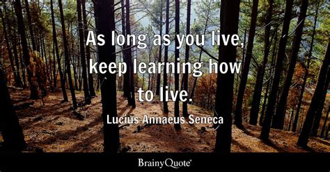 Lucius Annaeus Seneca As Long As You Live Keep Learning