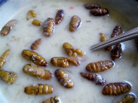 Potato Soup With Bugs Critical Mas