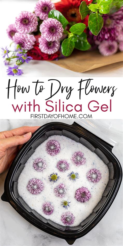 Maybe you would like to learn more about one of these? How to Use Silica Gel for Drying Flowers: Complete Guide