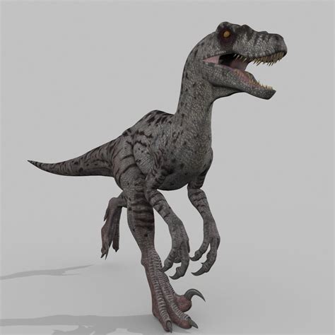Female Alpha Raptor 8k Animated 3d Model Animated Rigged Cgtrader