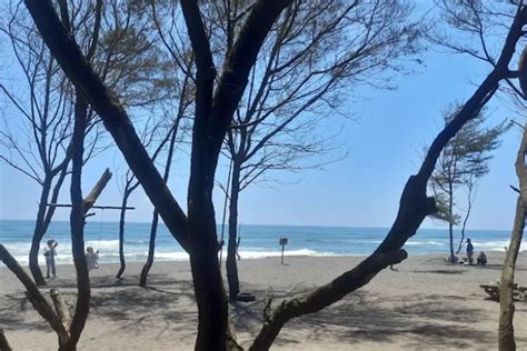Pantai Cangkring Keindahan Alam Tersembunyi Di Bantul Yogyakarta