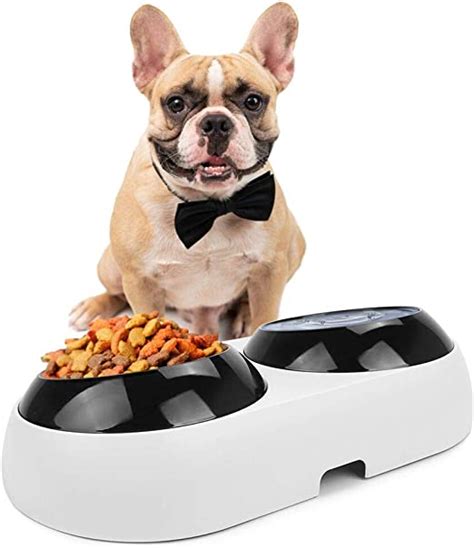 Slanted Dog Bowl For Bulldogs Double Elevated Pet Food