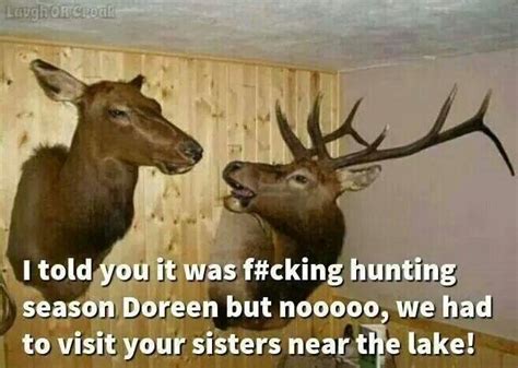 Top 35 Funny Deer Pictures And Quotes