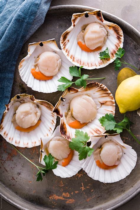 Freshraw Scallops In Shell On Metal Trayready To Be Prepared For
