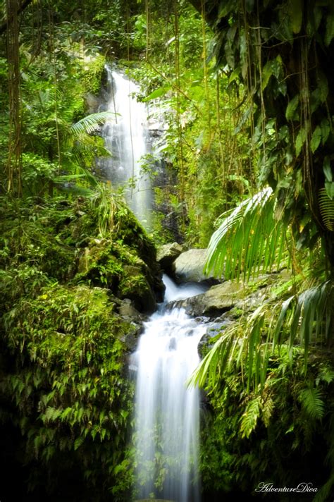 Waterfall El Yunque El Yunque Puerto Rico Adventurediva Flickr