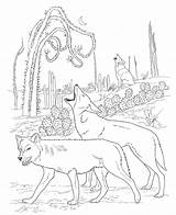 Coyote Coloring Printable Animal sketch template