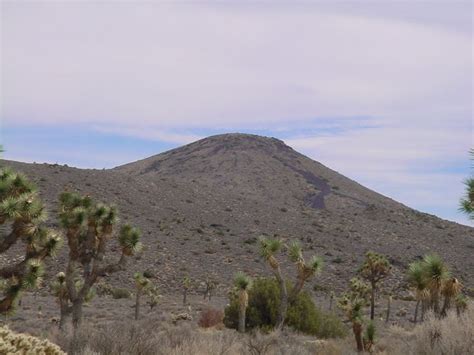 Joshua Tree National Park Twentynine Palms Ca Joshua Tree National