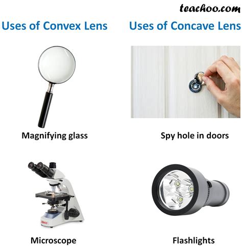 Uses Of Concave And Convex Lens Convex And Concave Lenses Hot Sex Picture