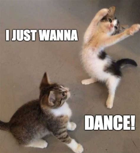 Happy Dance Meme Idlememe