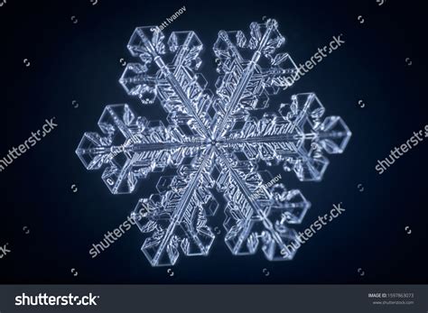 Real Snowflake Microscope Shot Stock Photo 1597863073 Shutterstock