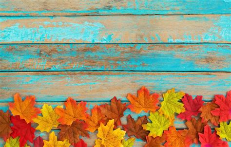 Wallpaper Autumn Leaves Background Tree Colorful Vintage Wood