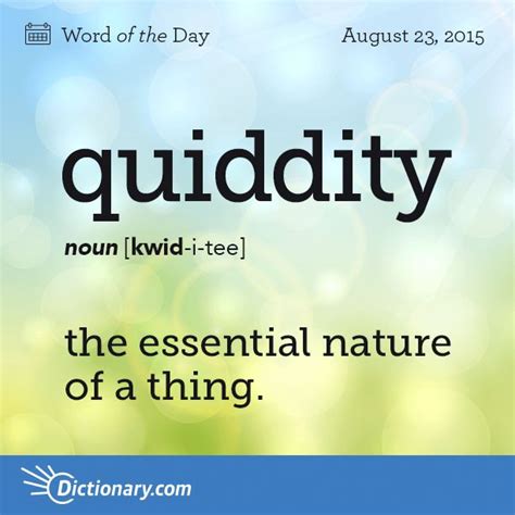 The Word Of The Day Is Quiddity