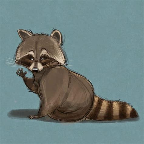 Orsetto Lavatore Raccoon Illustration Animal Illustration Animal