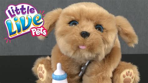 Little Live Pets Snuggles My Dream Puppy From Moose Toys Youtube