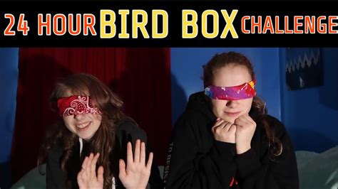 24 Hour Bird Box Challenge Youtube