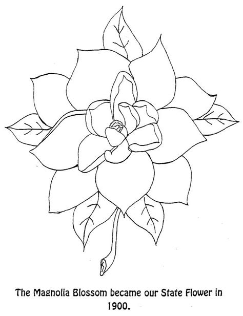 Magnolia Coloring Pages Best Coloring Pages For Kids