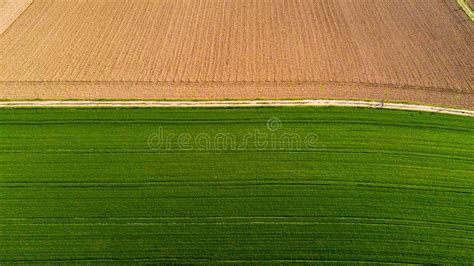 Nature And Landscape Aerial View Of A Field Cultivation Green Grass