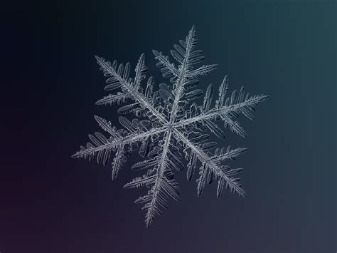 Beautiful Macro Snowflakes By Alexey Kljatov The Orms Photographic Blog