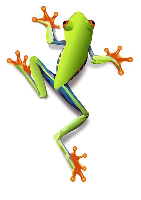 Cartoon Pic Of Green Tree Frog Clipart Free Download On