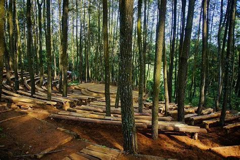 Mendunia Ini Panggung Hutan Pinus Mangunan Dlingo Bantul Jogjakarta